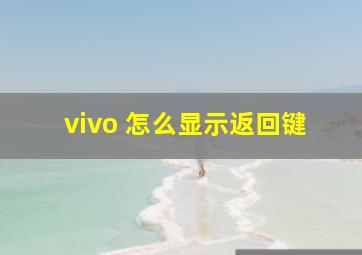 vivo 怎么显示返回键